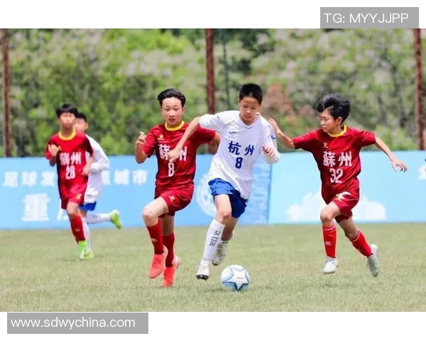 杭州足球队整体压制战术解析与未来发展展望