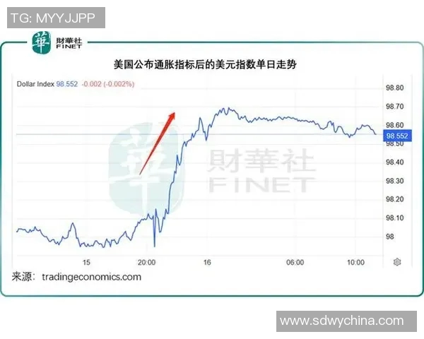 全球股市波动加剧 美联储加息预期升温引发市场担忧