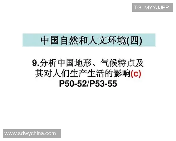 上海攀岩队协作表现分析及其对比赛成绩的影响研究